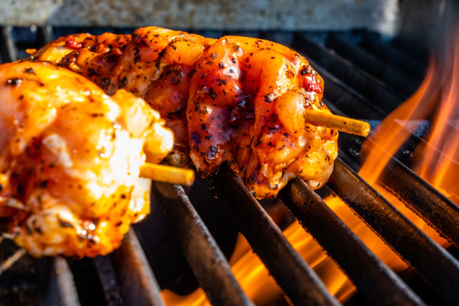Canon EF-S 18-135mm F3.5-5.6 IS USM sample photo. Food, grilling, meat photography