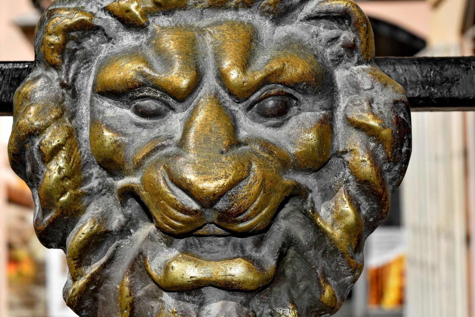 Nikon D5500 sample photo. Brass, bronze, head, lion photography