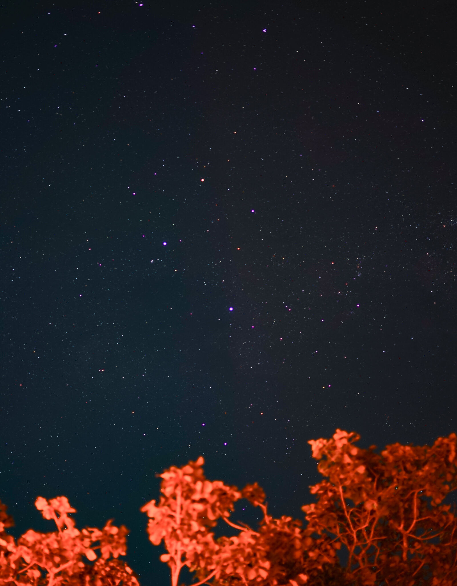 Sony a7 sample photo