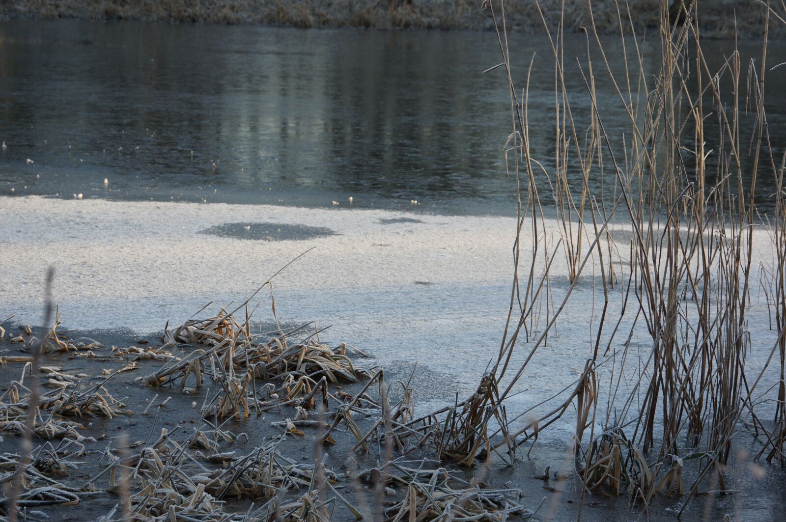 Sony NEX-VG20E sample photo. Winter, lake, frost photography
