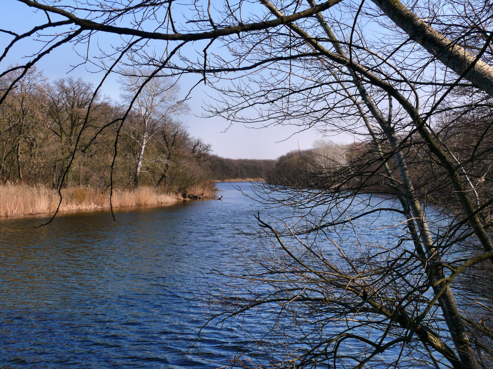 Panasonic DMC-FZ50 sample photo. Samara, river photography