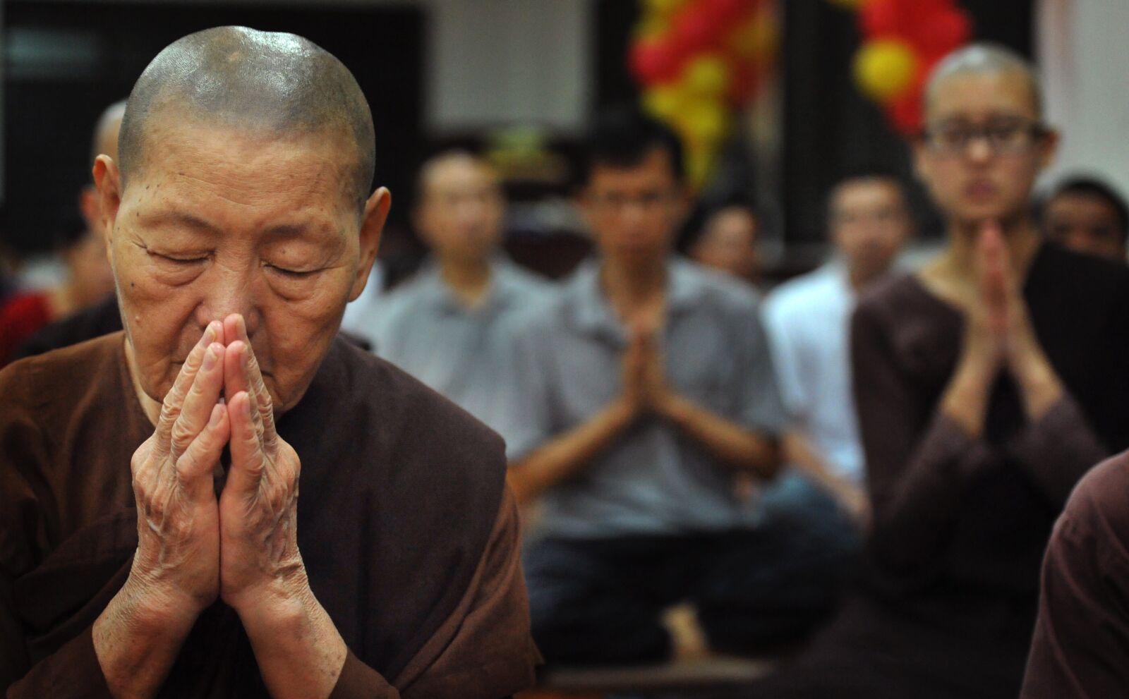 Nikon D3 sample photo. Theravada buddhism, old nun photography