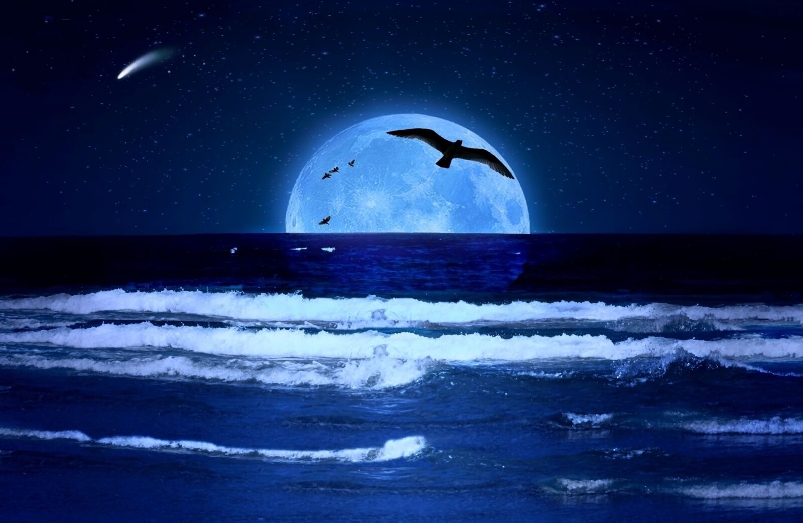 Canon EOS 1000D (EOS Digital Rebel XS / EOS Kiss F) sample photo. Birds, lua, mar, moon photography