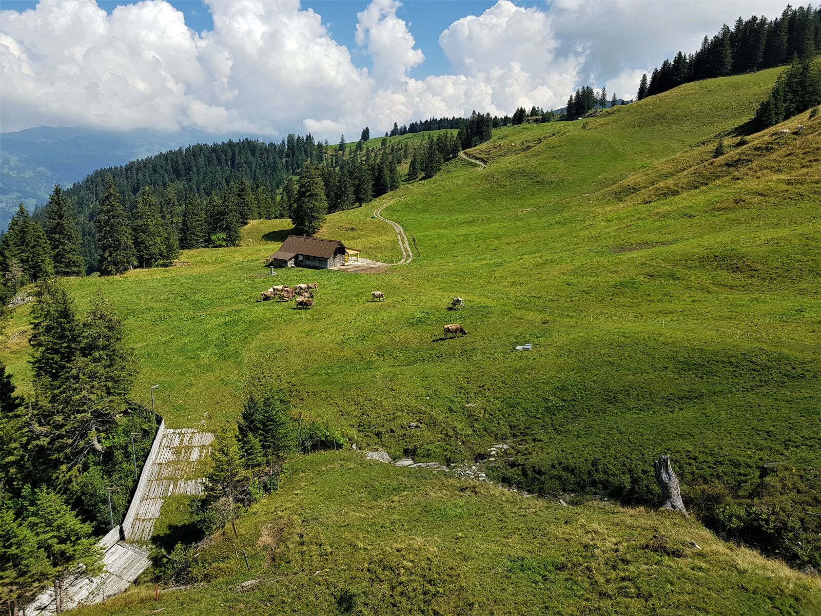 Samsung Galaxy S8 sample photo. Mountains, grass, cow photography