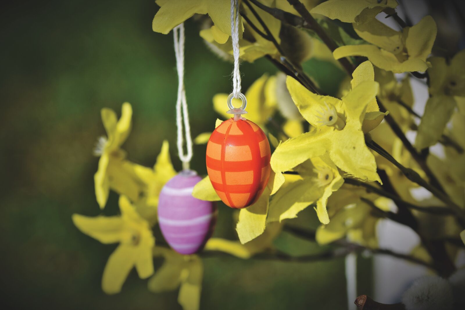 Nikon D7200 sample photo. Easter egg, easter, colorful photography
