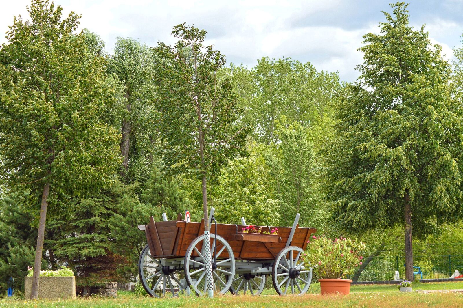 Nikon D3200 sample photo. Cart, trees, landscape photography