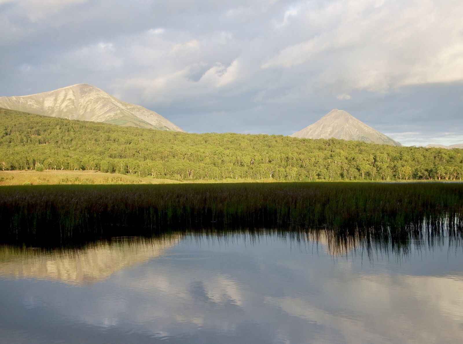 Fujifilm FinePix S1 sample photo. Lake, mountains, forest photography