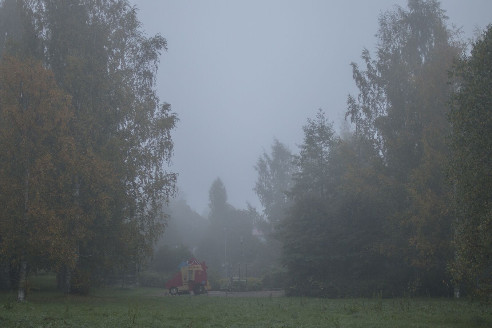 Canon EOS 70D sample photo. Mist, fog, morning photography