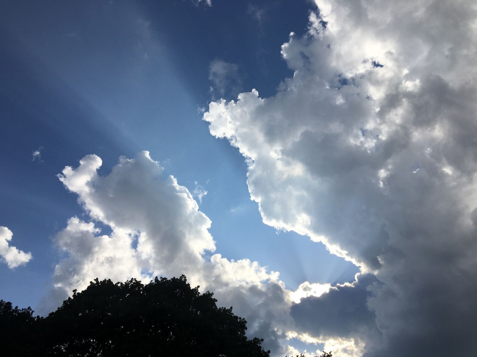 iPhone 6s Plus back camera 4.15mm f/2.2 sample photo. Clouds, sky, light photography