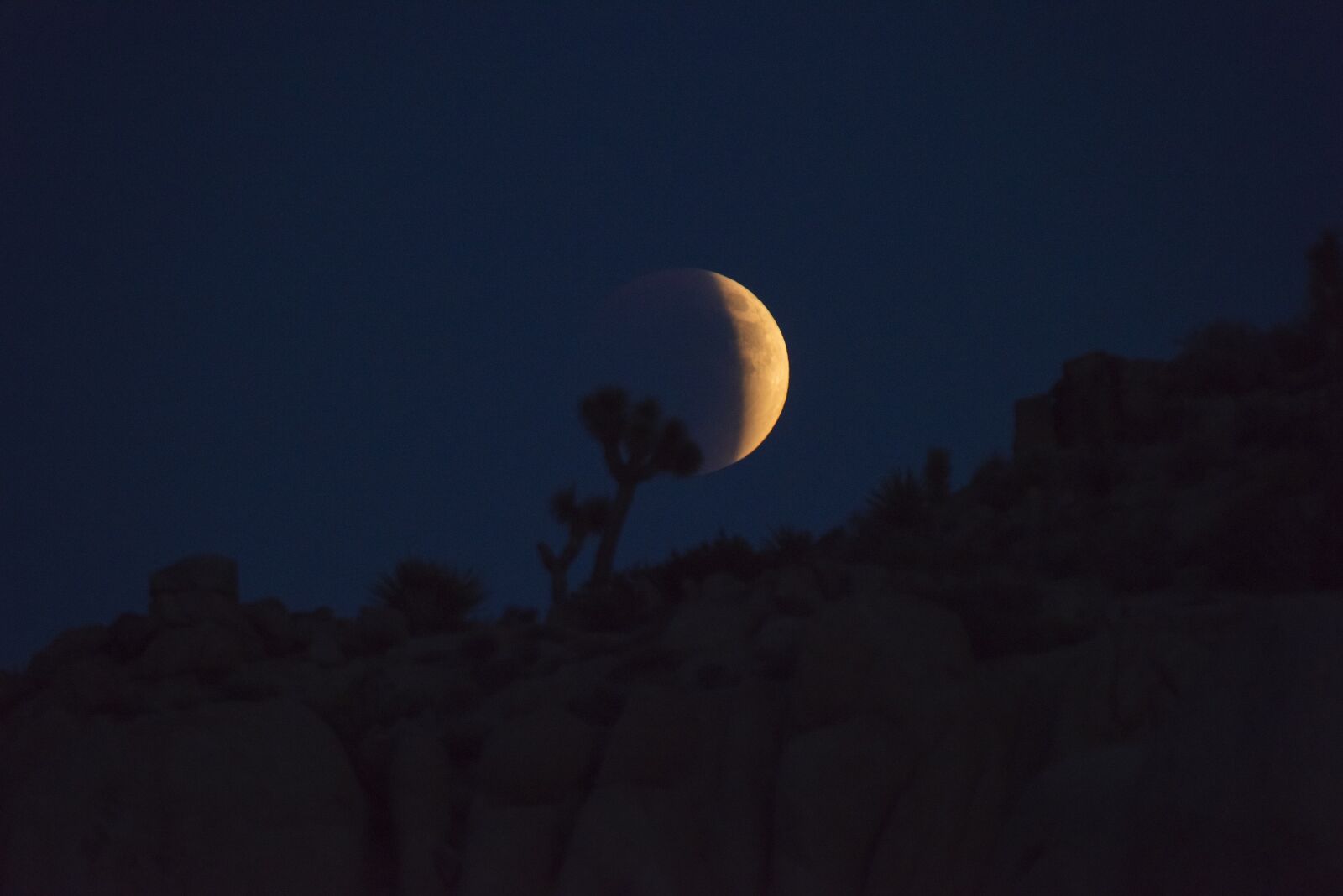 Nikon D810 sample photo. Blood moon, night, sky photography