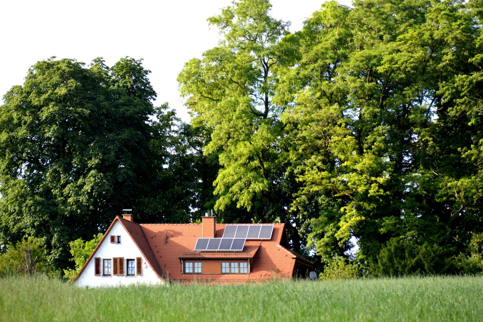 Nikon D3200 sample photo. House in the green photography