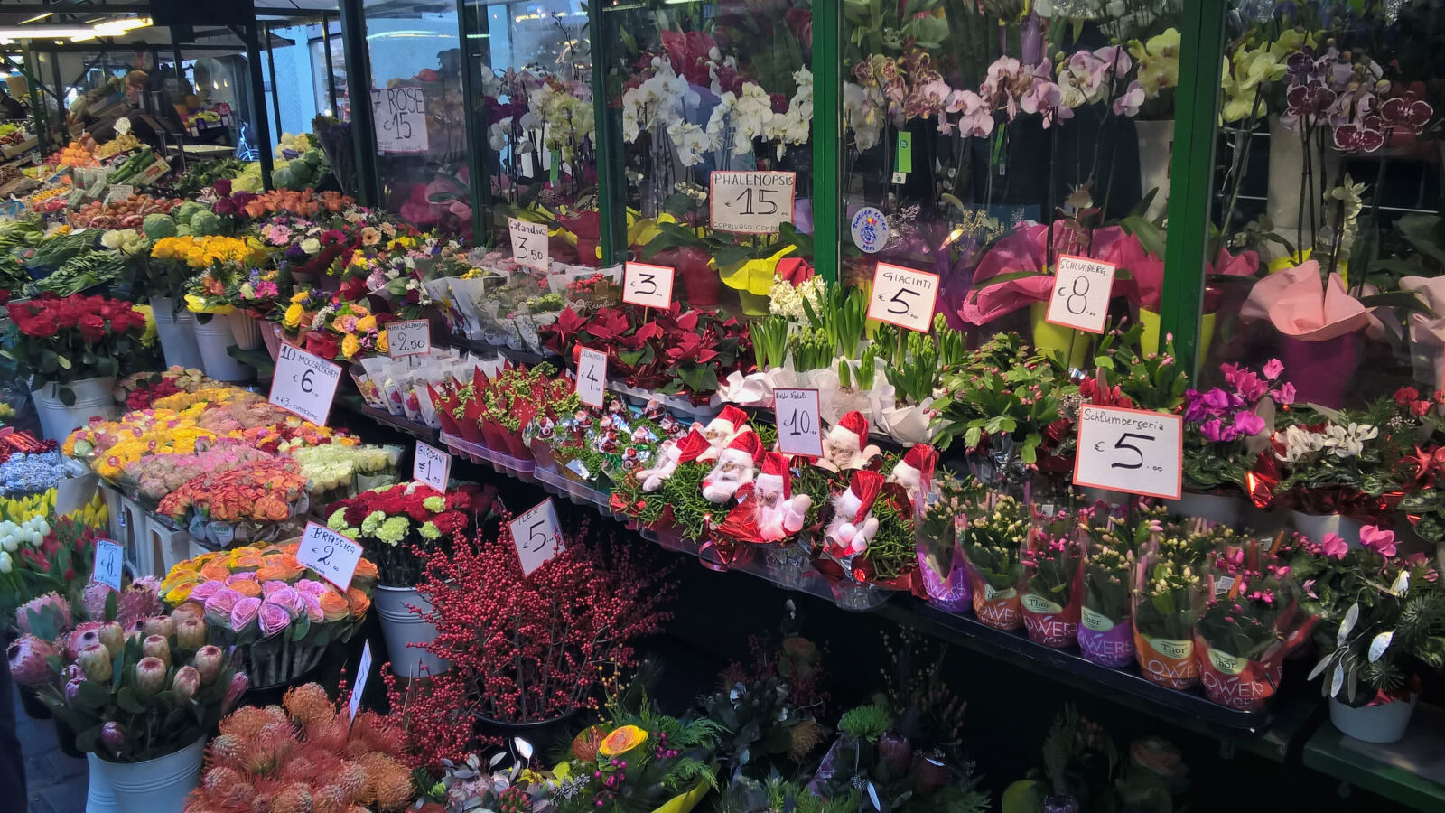Nokia Lumia 830 sample photo. Christmas, fiori, flowers, market photography