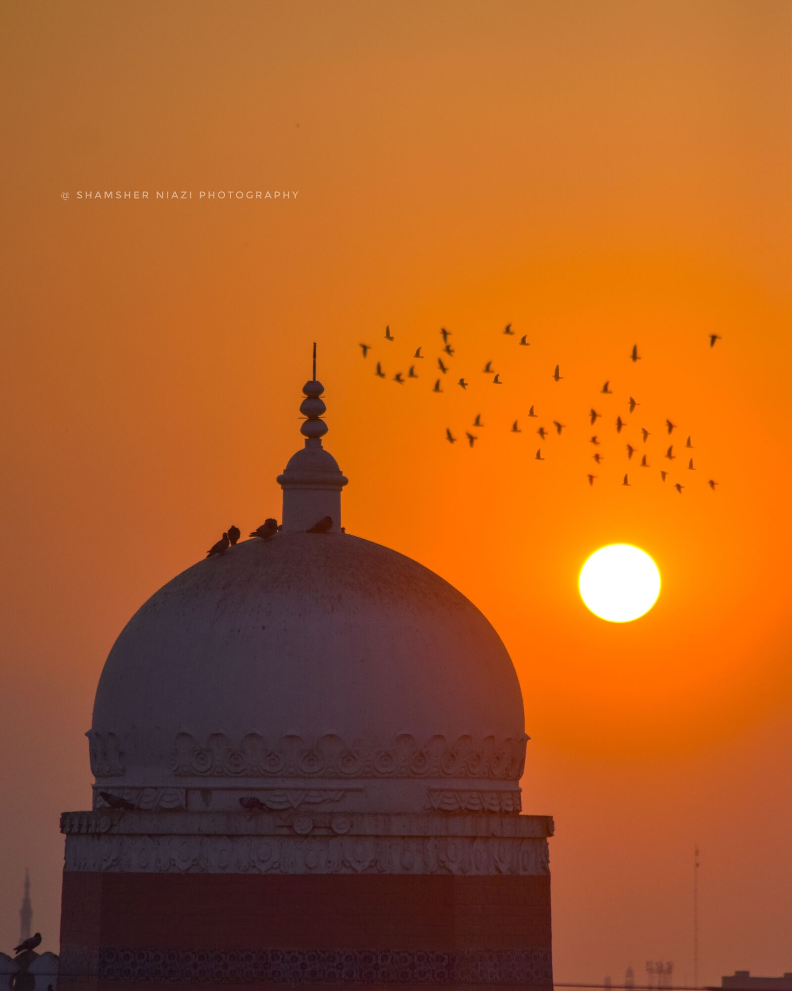 Nikon D3300 sample photo. Birds, sunset, freedom photography