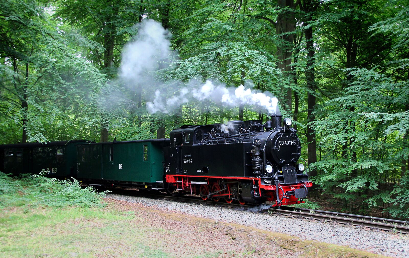 Canon EOS 1300D (EOS Rebel T6 / EOS Kiss X80) sample photo. Railway, steam, loco photography