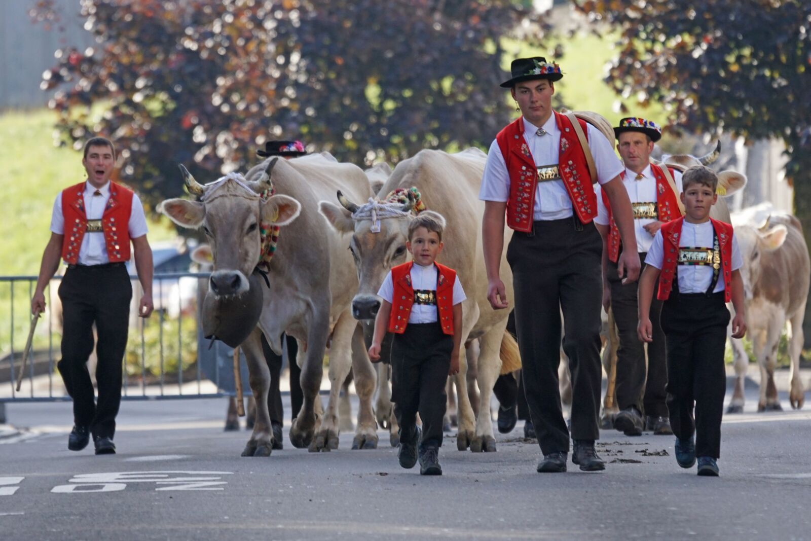 Sony 70-400mm F4-5.6 G SSM sample photo. Cattle show, appenzell, village photography