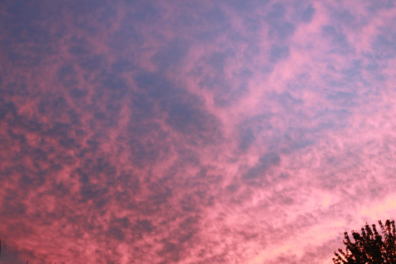 Canon EOS 500D (EOS Rebel T1i / EOS Kiss X3) sample photo. Night sky, sunset, summer photography