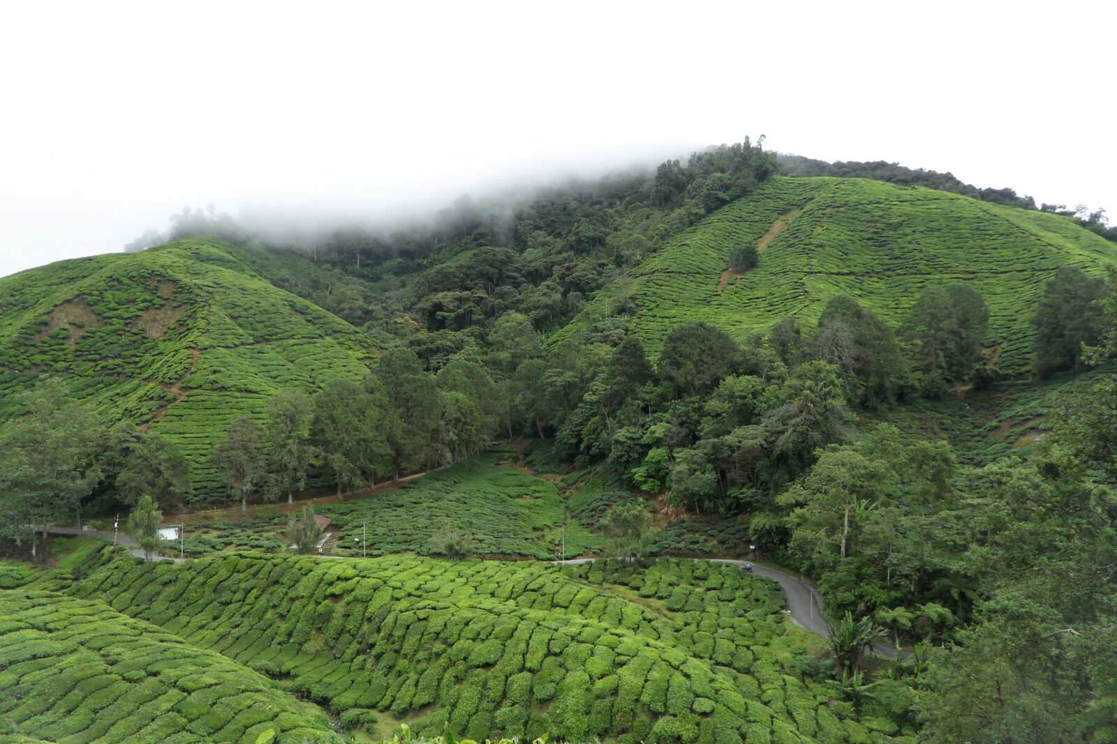 Samsung ST550 /  ST560 / VLUU ST550 /  TL225 sample photo. Nature, hill, landscape photography