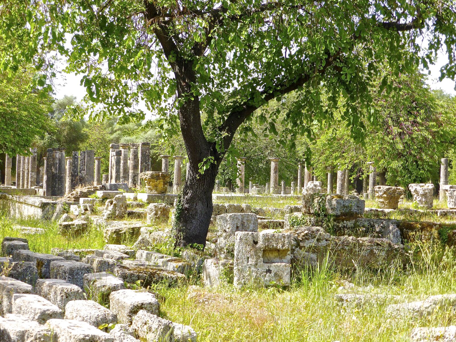 Panasonic DMC-TZ41 sample photo. Ruins, stones, columns photography