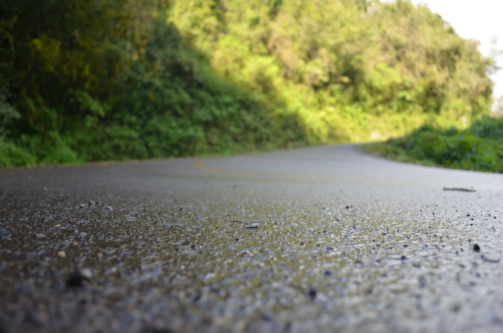Nikon D5100 sample photo. Mato, nature, vegetation photography