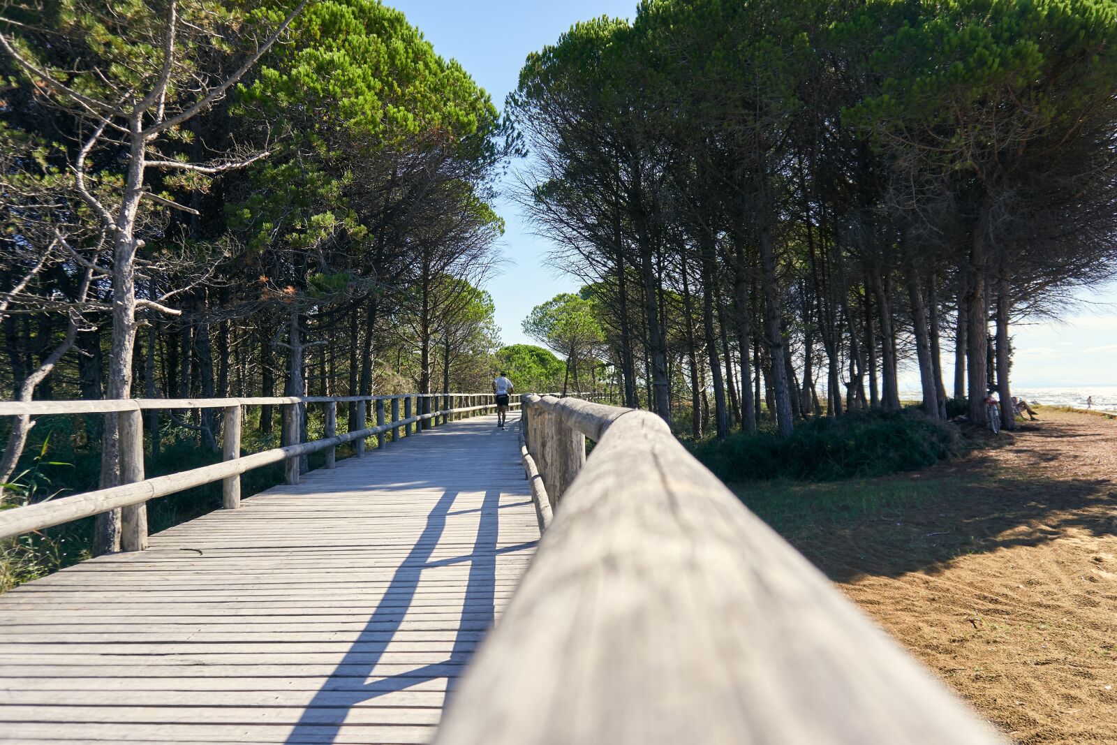 Sony a6400 sample photo. Wooden track, plank, railing photography