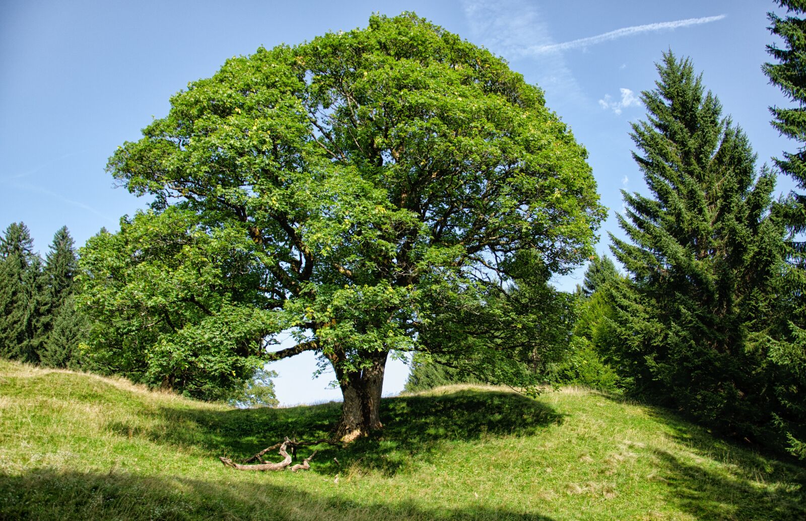 Nikon D5100 sample photo. Allgäu, oberstdorf, mountains photography