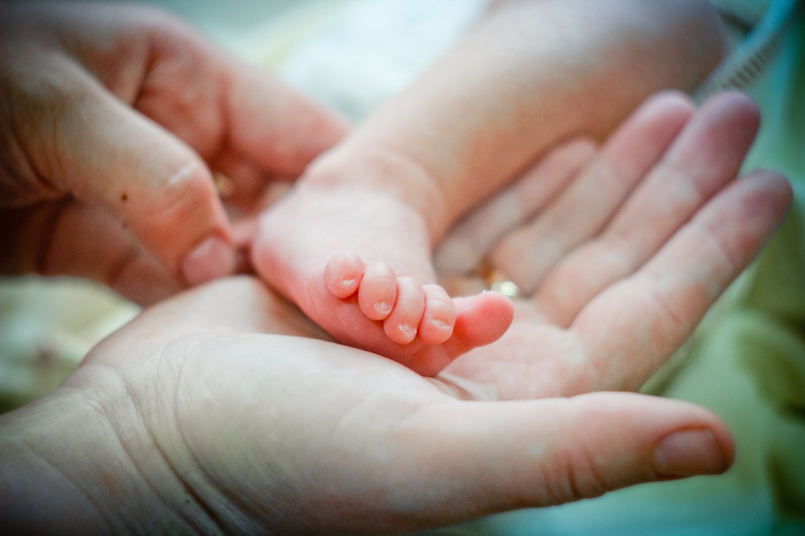 Canon EOS 600D (Rebel EOS T3i / EOS Kiss X5) sample photo. Newborn, baby, leg photography
