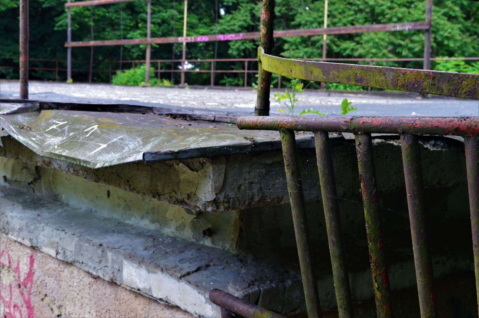 Nikon D3200 sample photo. Green, nature photography