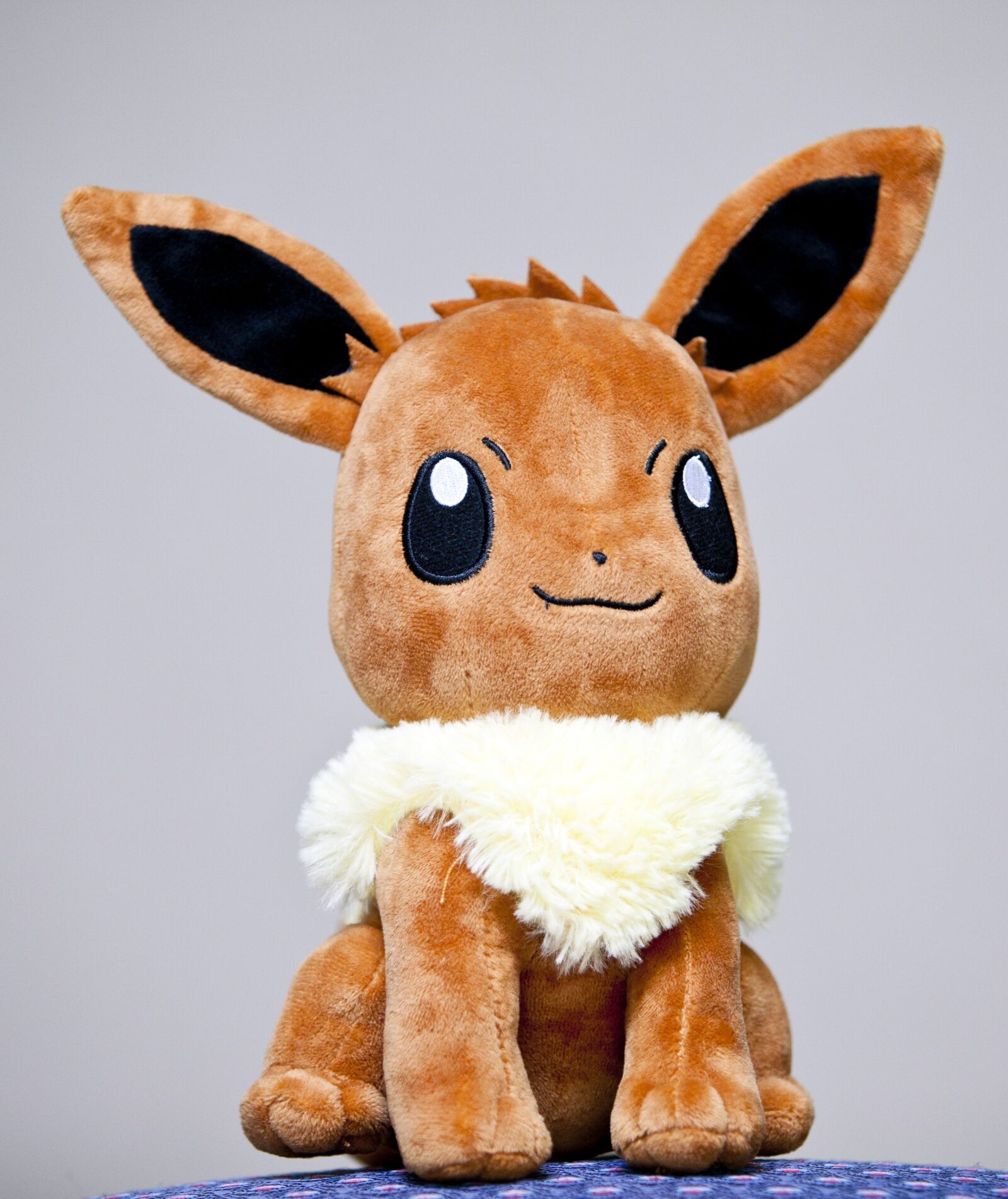 Canon EOS 5D sample photo. Doll, stuffed, toy photography
