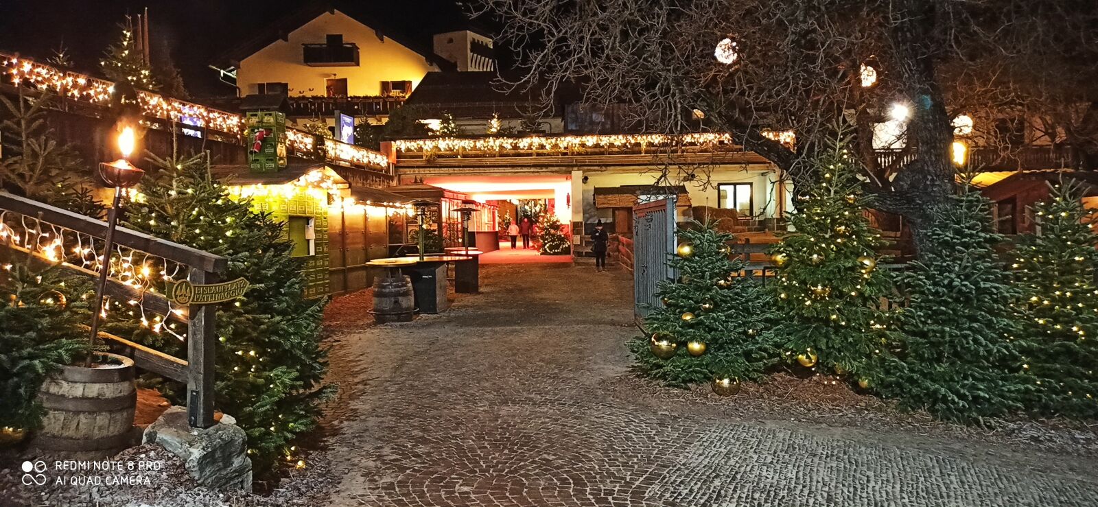 Xiaomi Redmi Note 8 Pro sample photo. Christmas, merano, forest photography