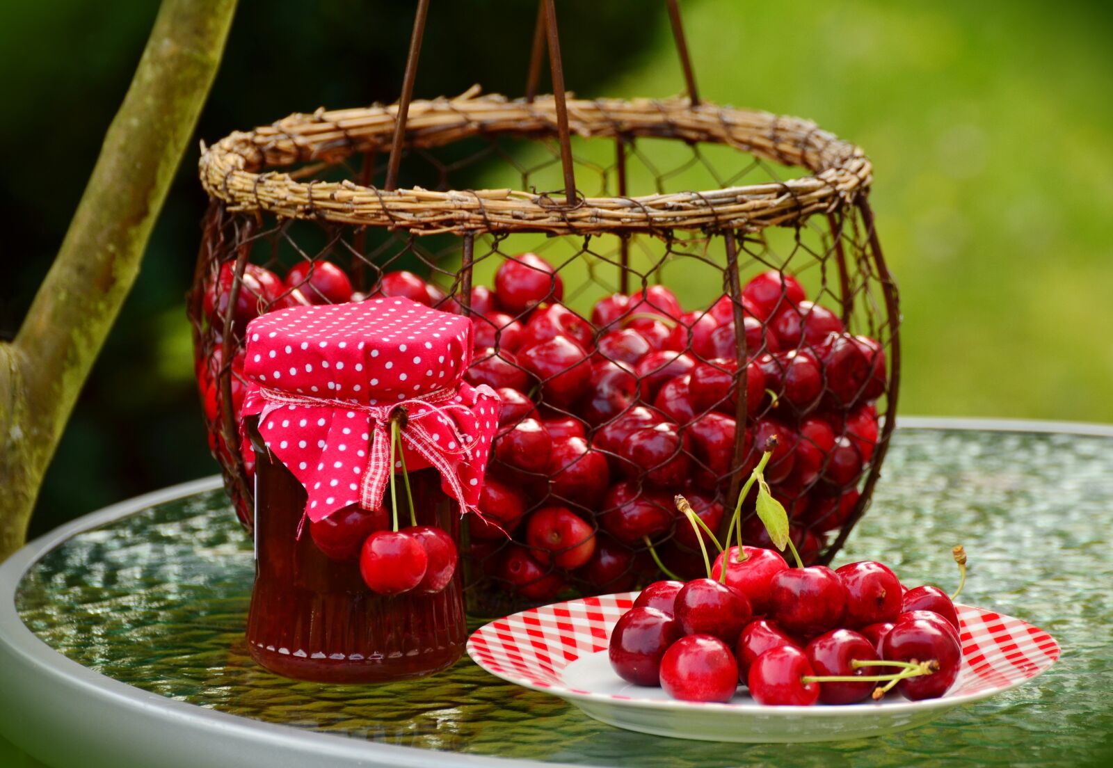 Nikon D5100 sample photo. Cherries, fruits, sweet cherry photography