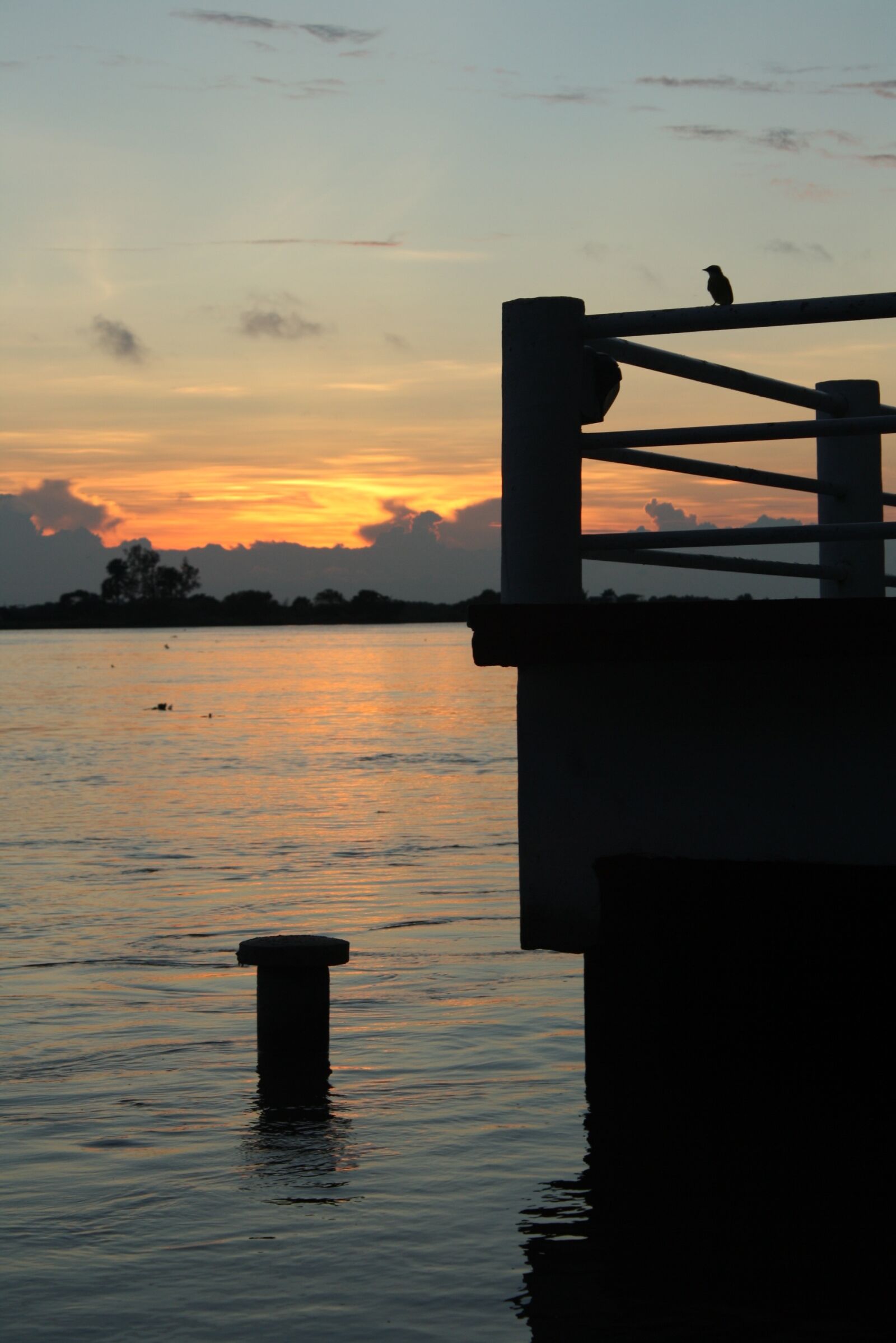 Canon EOS 1000D (EOS Digital Rebel XS / EOS Kiss F) sample photo. River, papaloapan, tlacotalpan photography