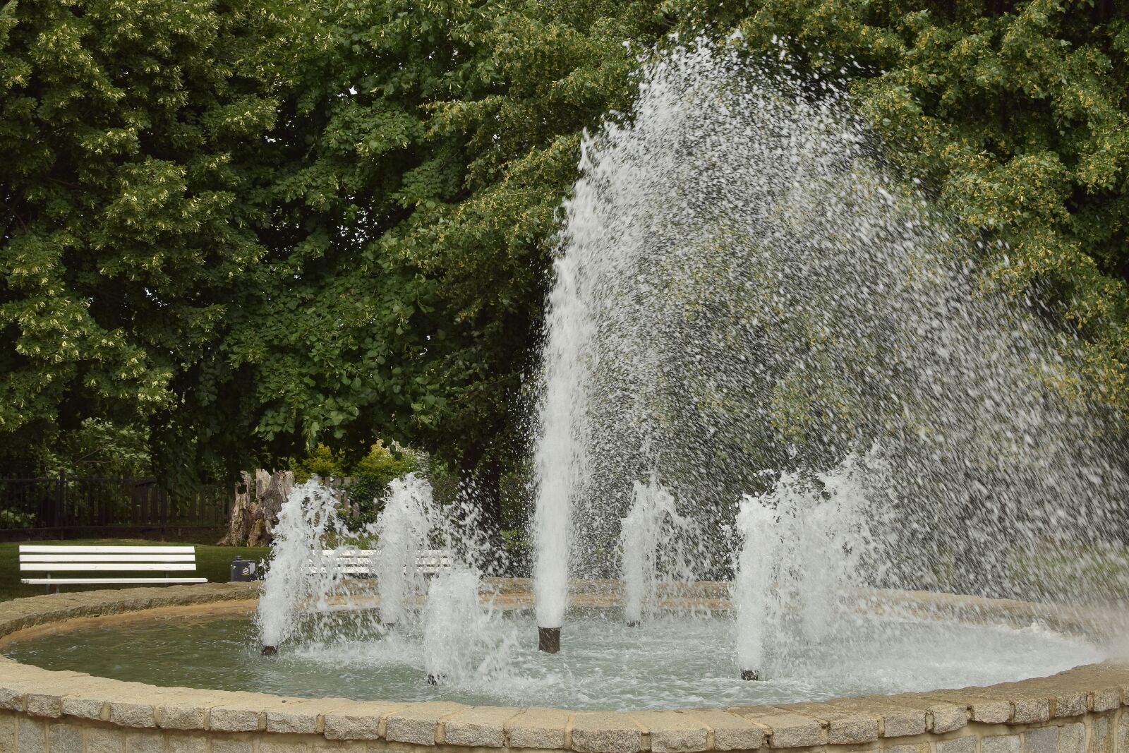 Nikon D5300 sample photo. Fountain, park, water photography