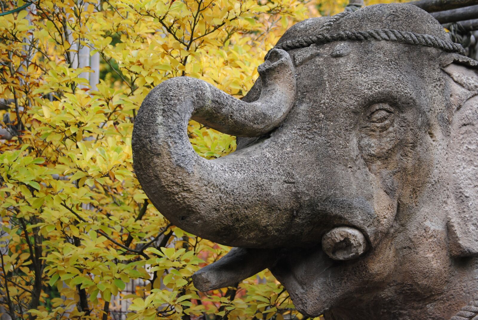 Nikon D3000 sample photo. Stone figure, elephant, autumn photography