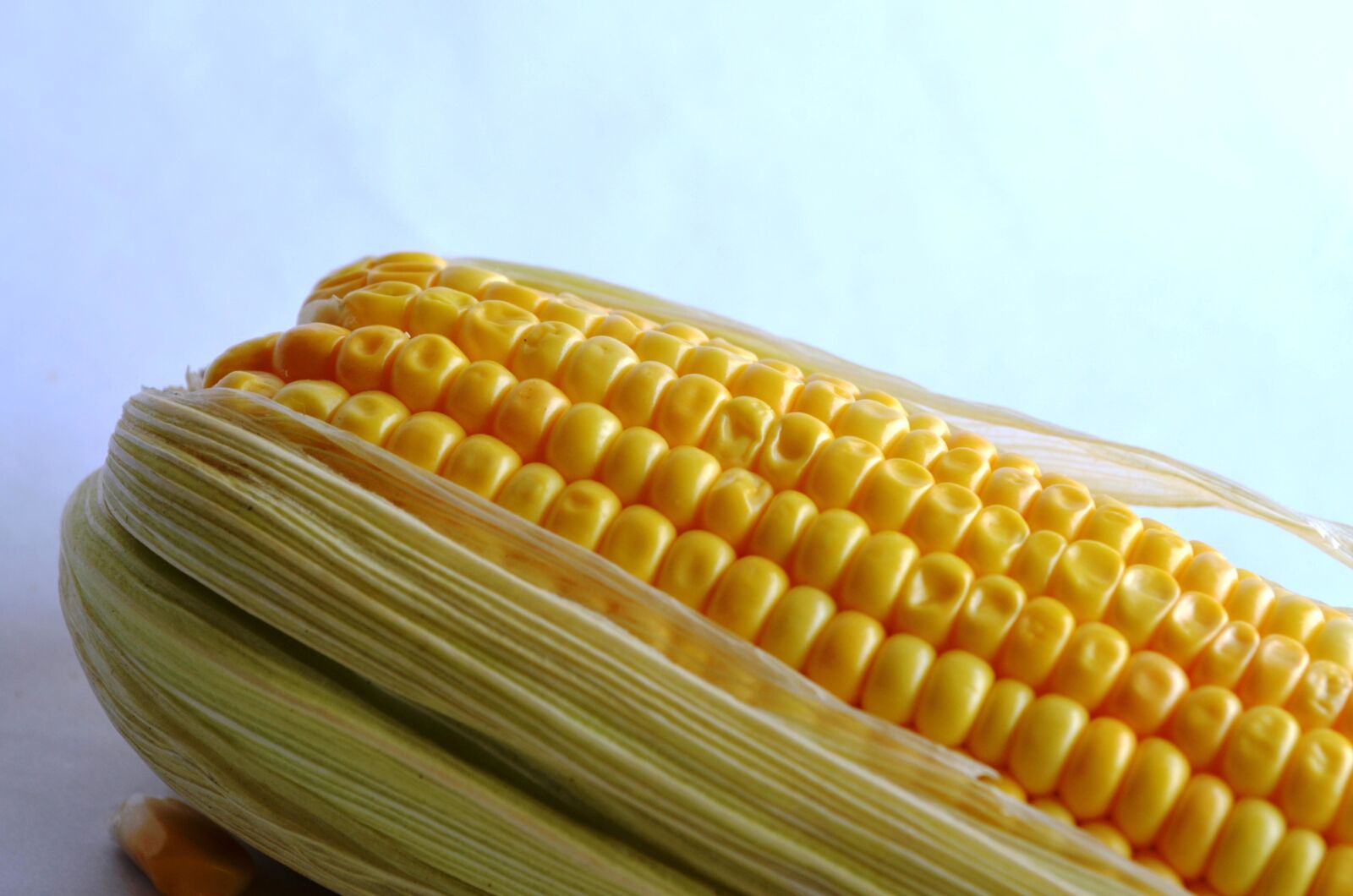 Nikon D5100 sample photo. Corn, vegetable, corn, grain photography