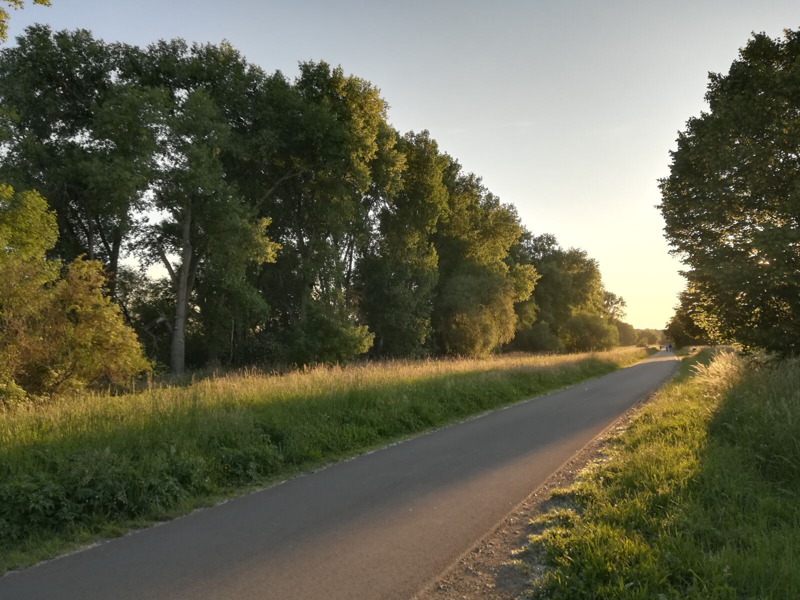 HUAWEI P10 lite sample photo. Bicycle path, trees, evening photography