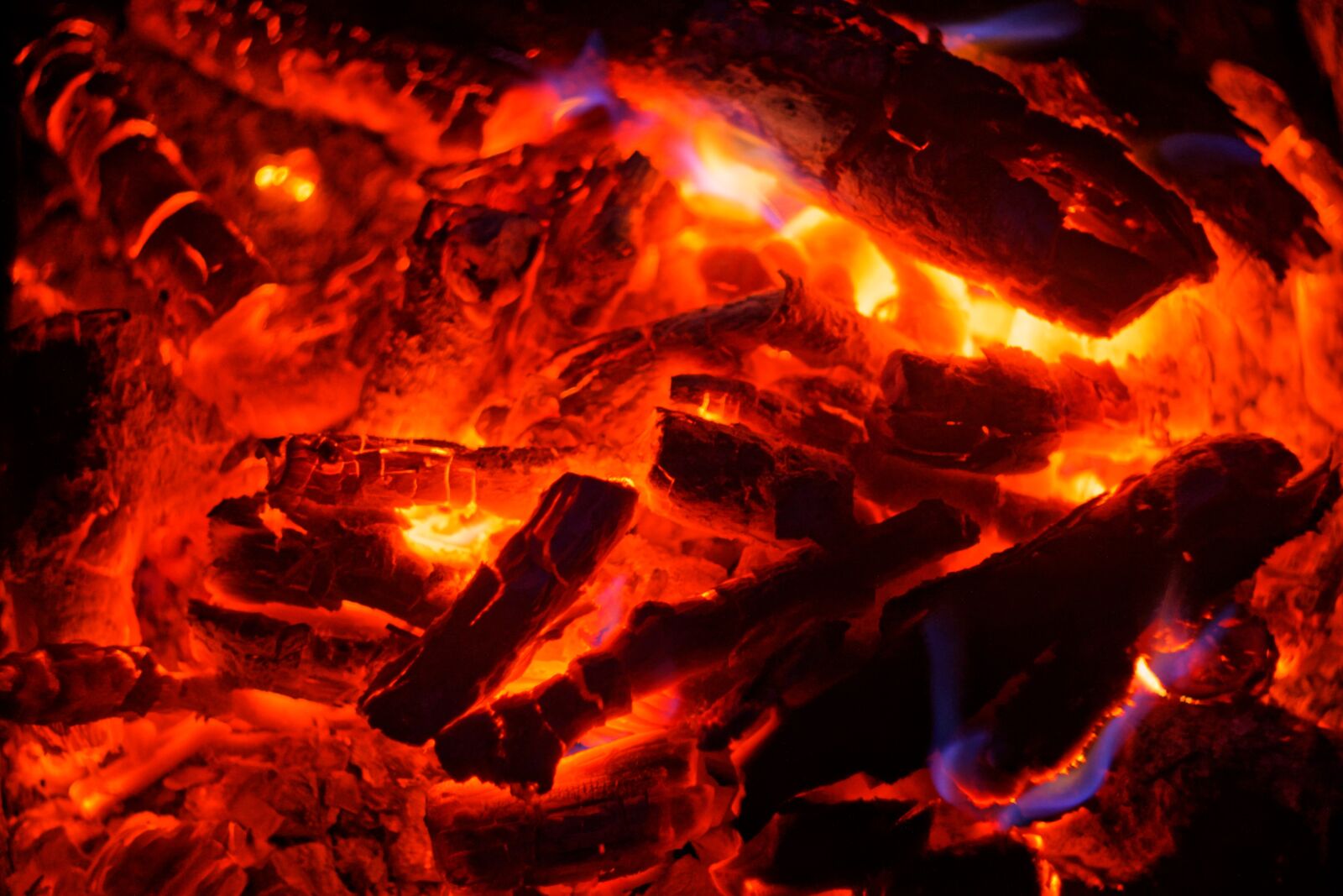 Canon EOS 1100D (EOS Rebel T3 / EOS Kiss X50) sample photo. Coals, fire, tree photography