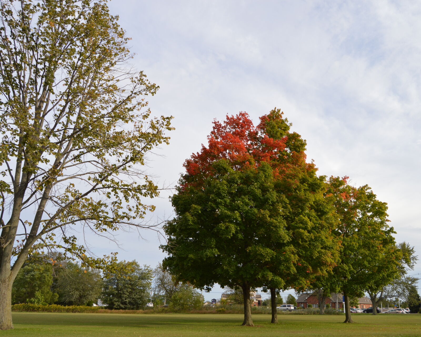 Nikon D3200 sample photo