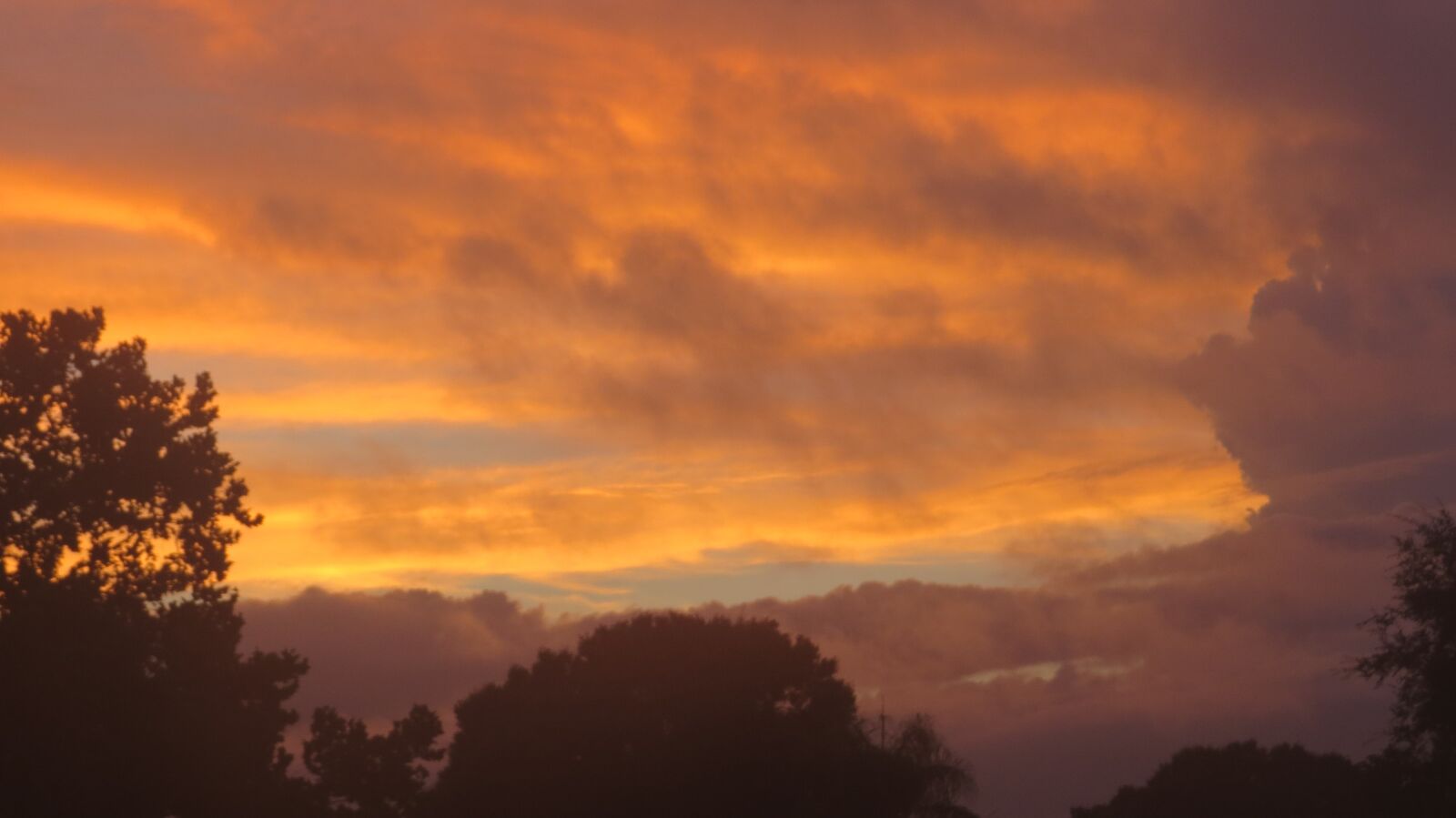 Canon PowerShot SX50 HS sample photo. Smoky, skies, sky photography