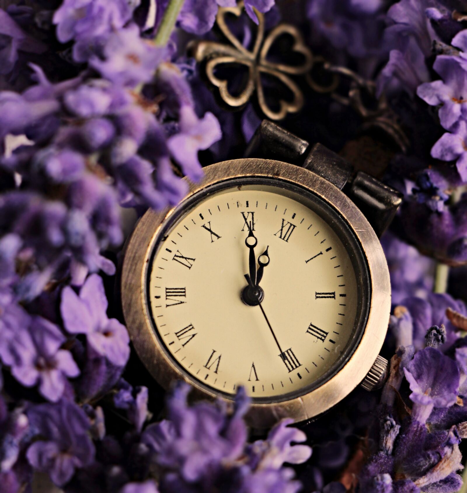 Canon EOS 100D (EOS Rebel SL1 / EOS Kiss X7) sample photo. Lavender, clock, lucky clover photography