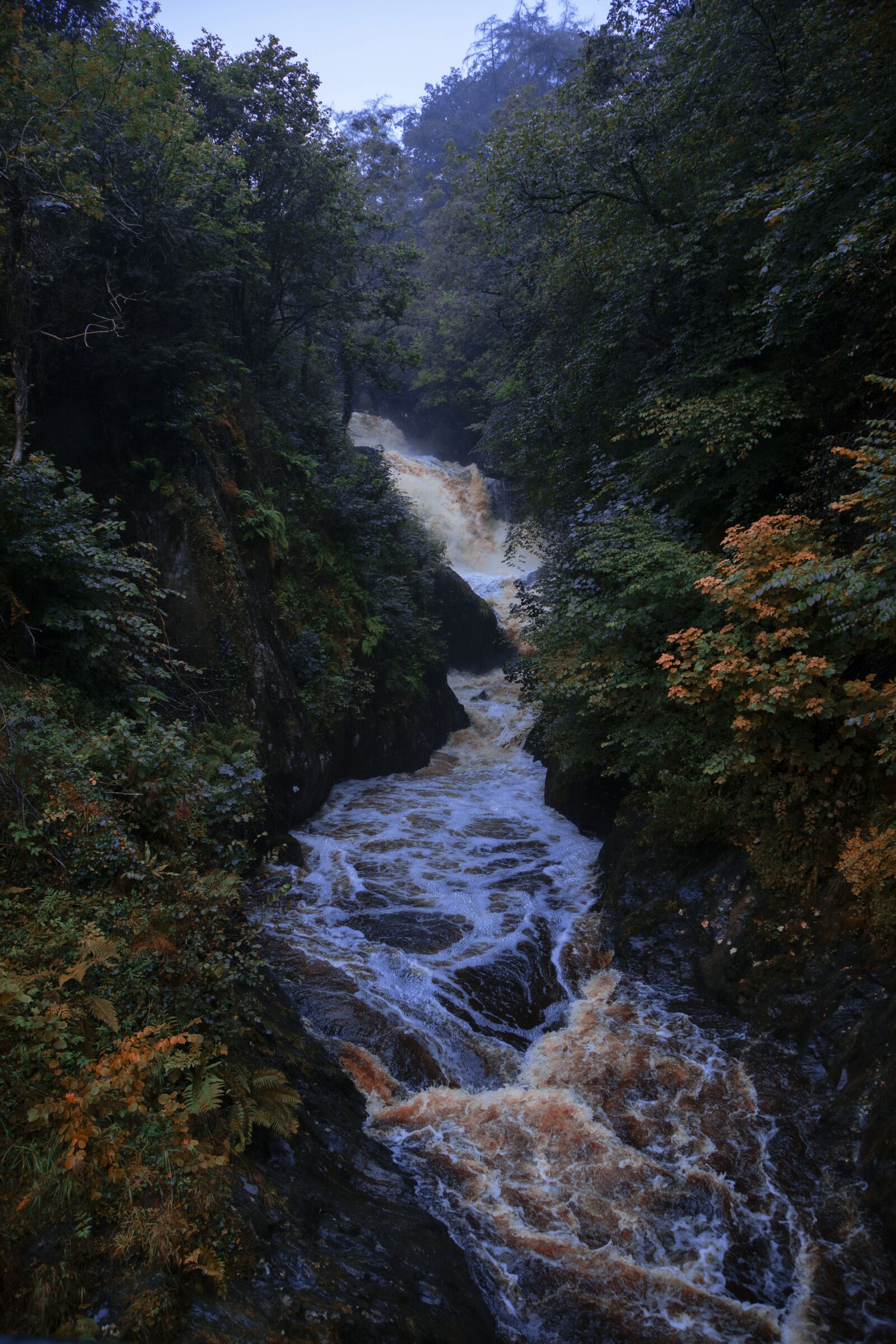 Canon EOS 5D Mark IV sample photo. Virgin water, waterfalls, rainy photography