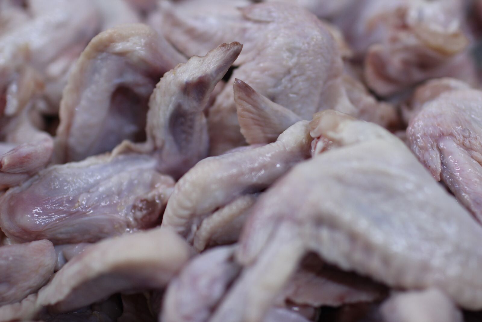 Canon EF 35mm F1.4L USM sample photo. Chicken wings, chicken meat photography