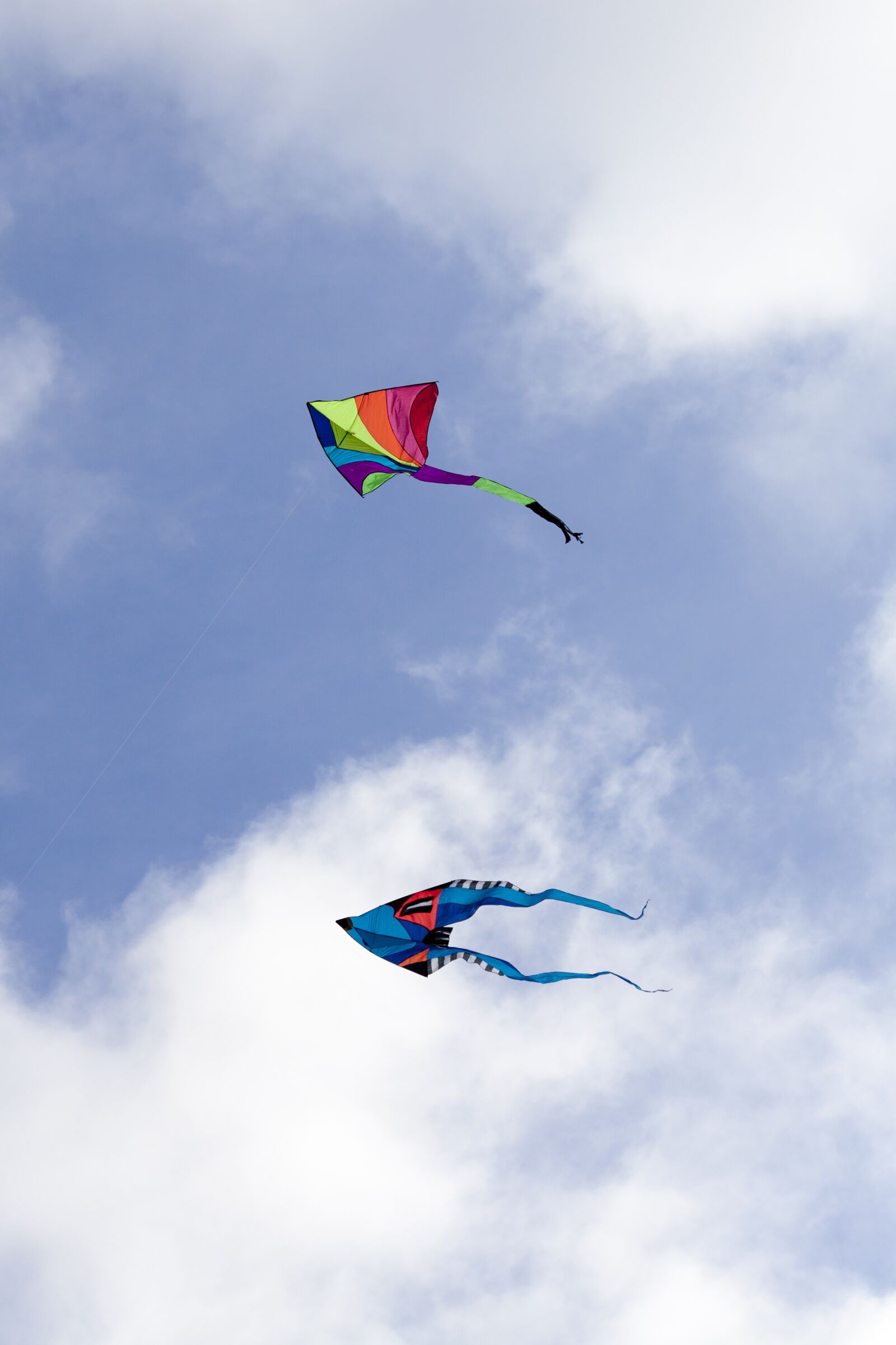 Canon EOS 5D Mark II + Canon EF 70-300mm F4-5.6 IS USM sample photo. Kite, dragon, autumn photography