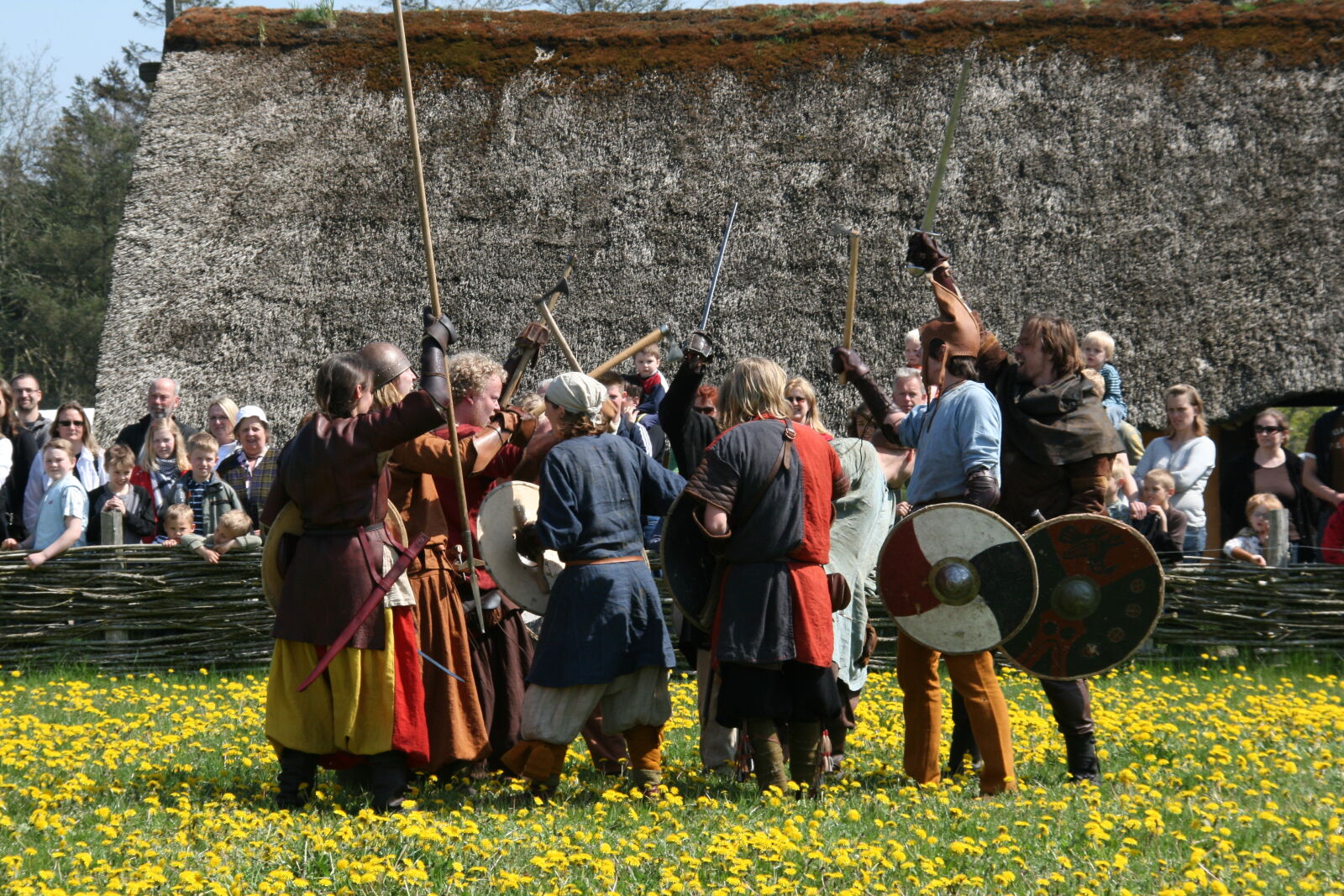 Sigma 18-200mm f/3.5-6.3 DC OS sample photo. Vikings photography