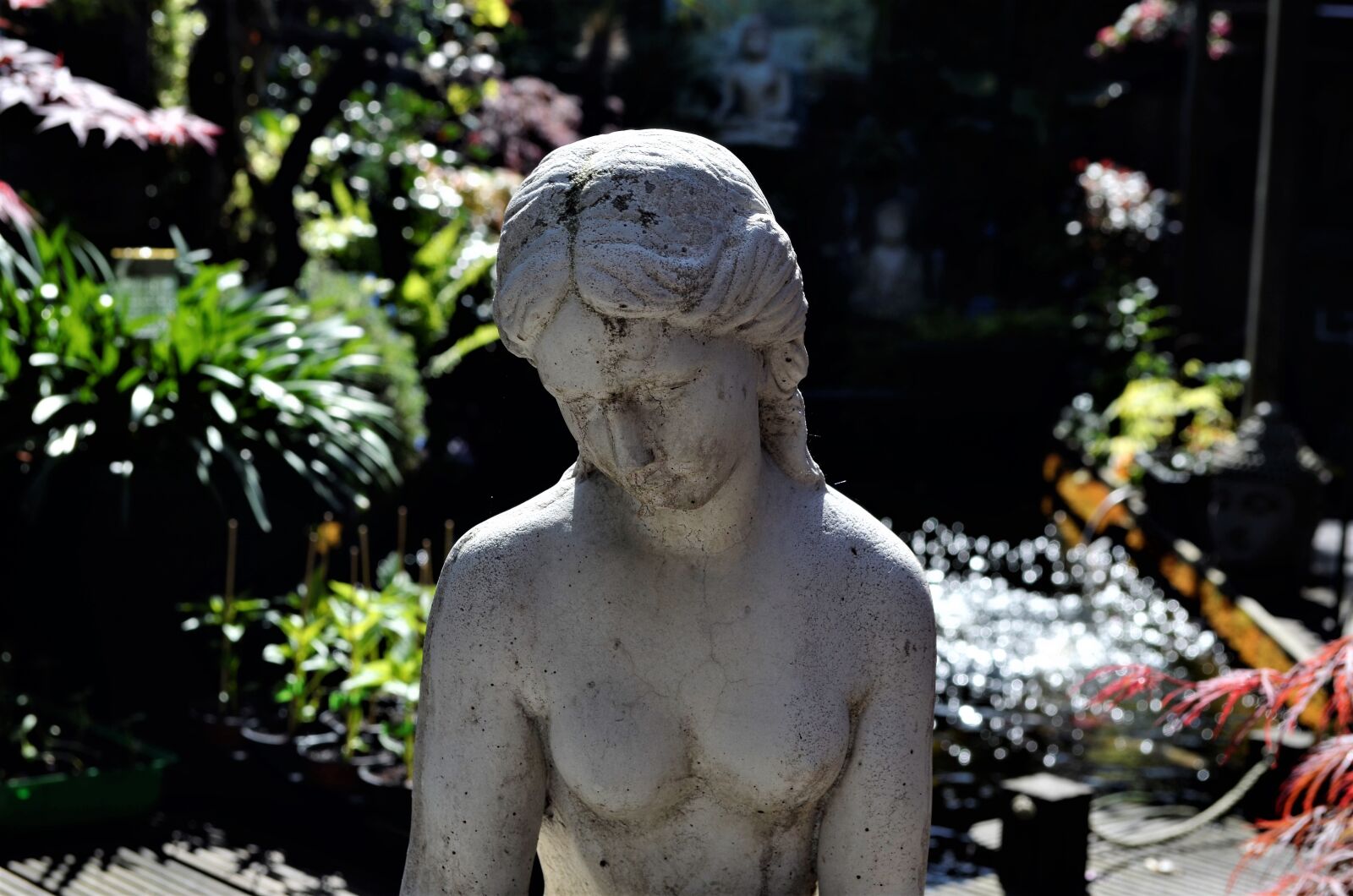 Nikon D5100 sample photo. Statue, sculpture, nature photography