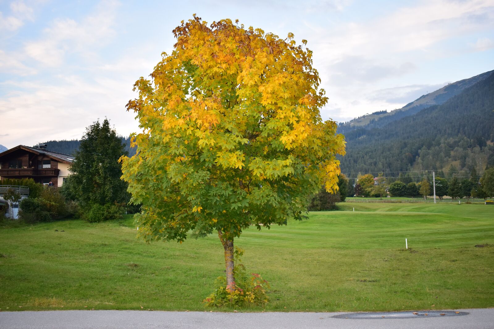 Nikon D5300 sample photo. Austria, landscape, nature photography