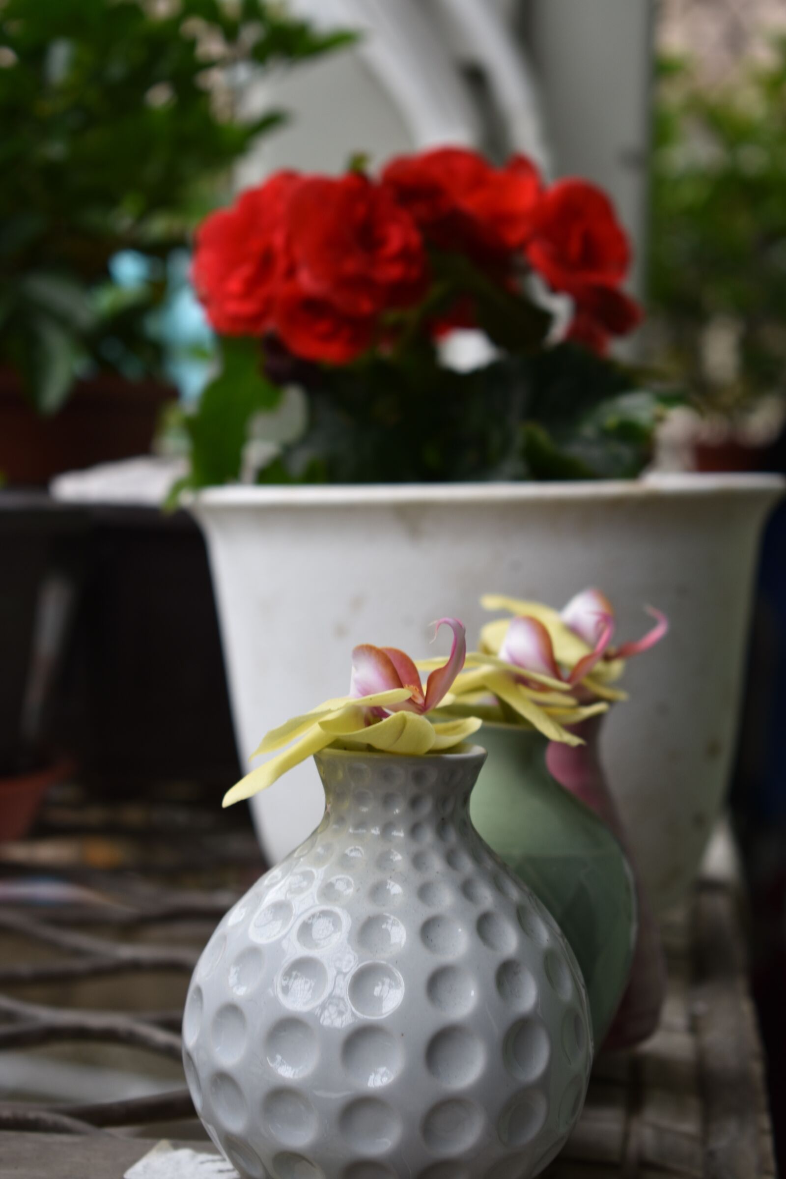 Nikon D3400 sample photo. Flower, decoration, nature photography