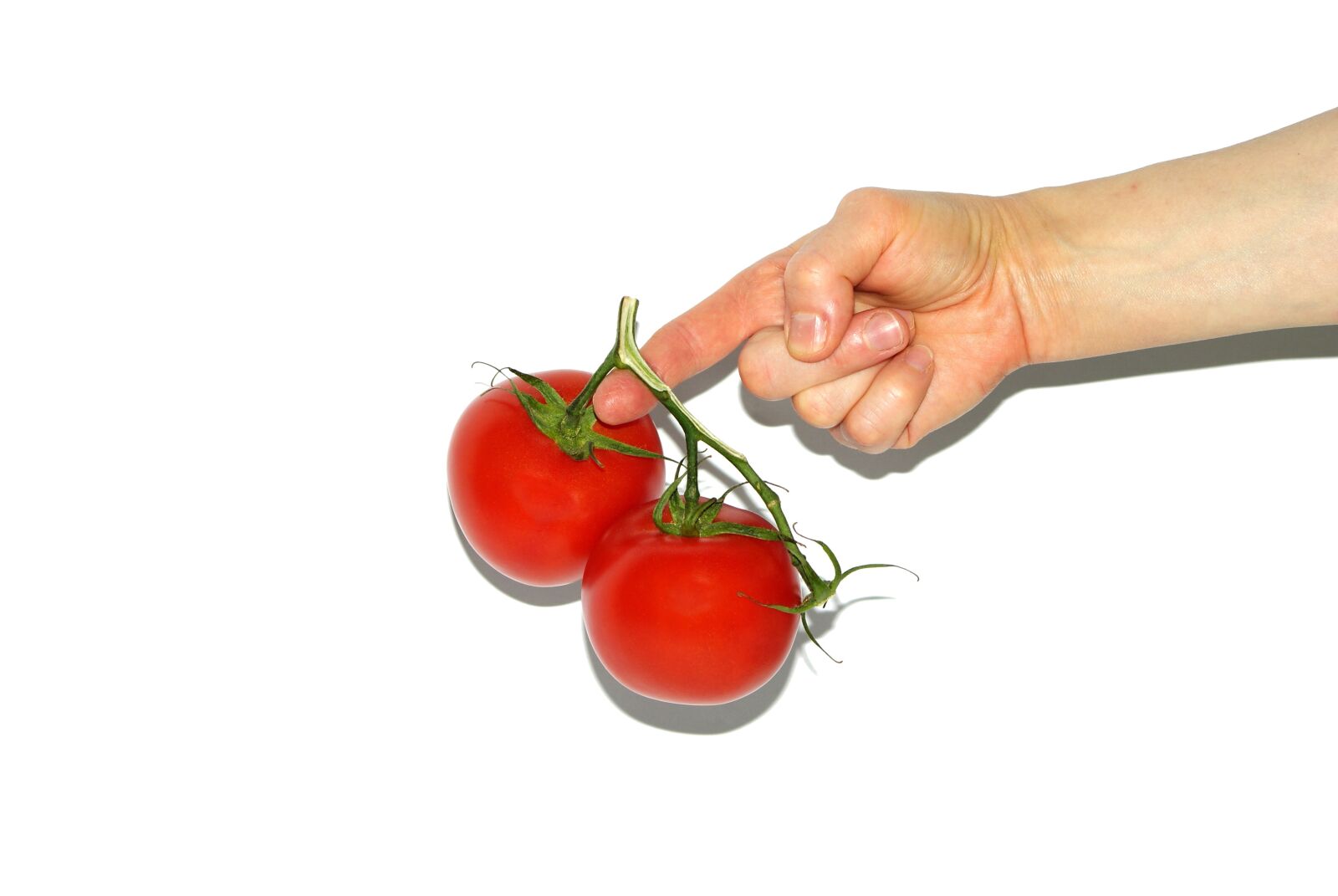 Sony Alpha DSLR-A200 sample photo. Tomato, the hand, hands photography
