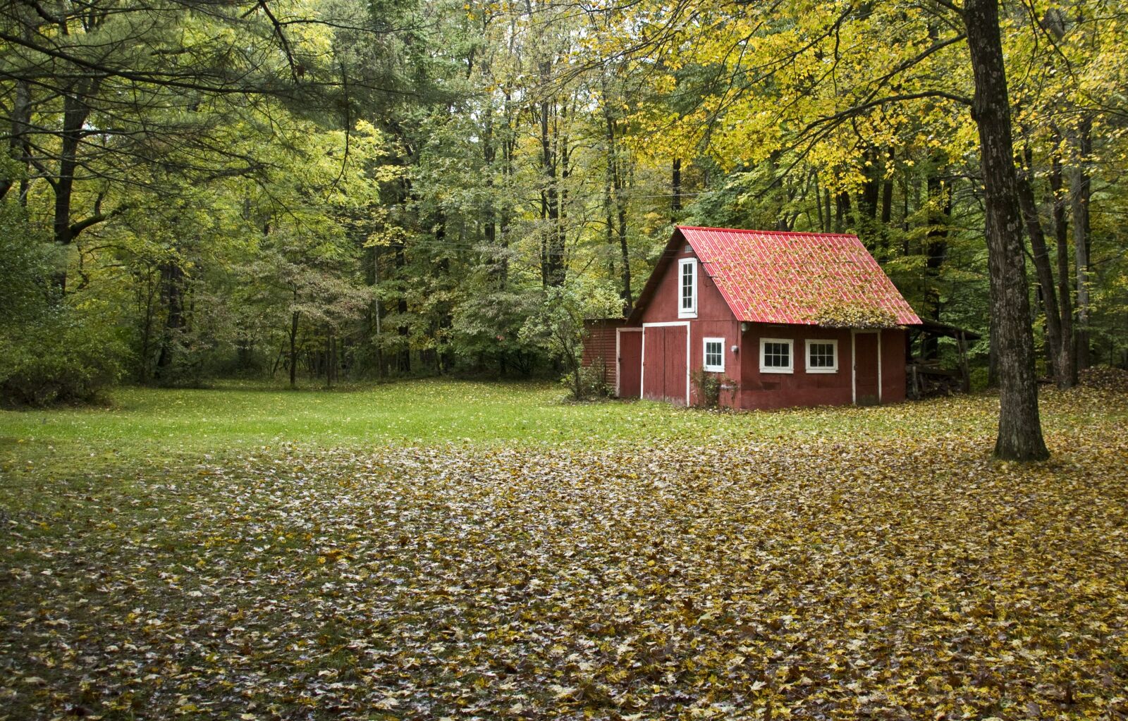Canon EOS 550D (EOS Rebel T2i / EOS Kiss X4) sample photo. Red barn, red, barn photography