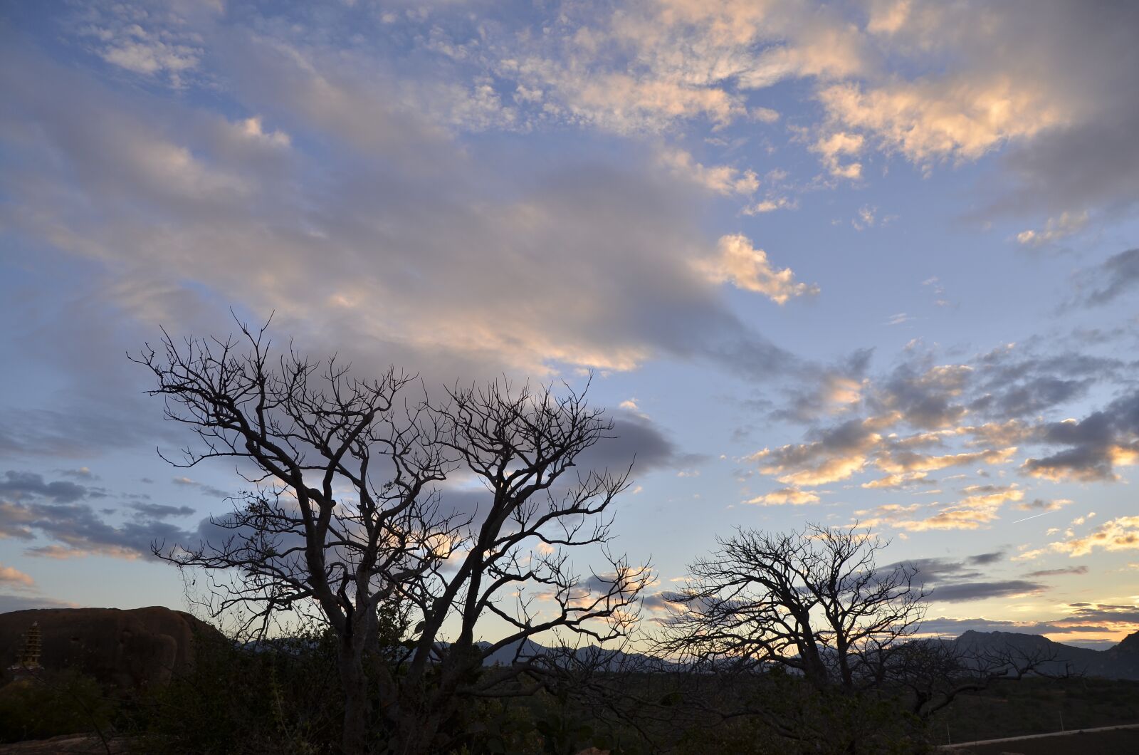 Nikon D7000 sample photo. Sky, sunset, tree photography