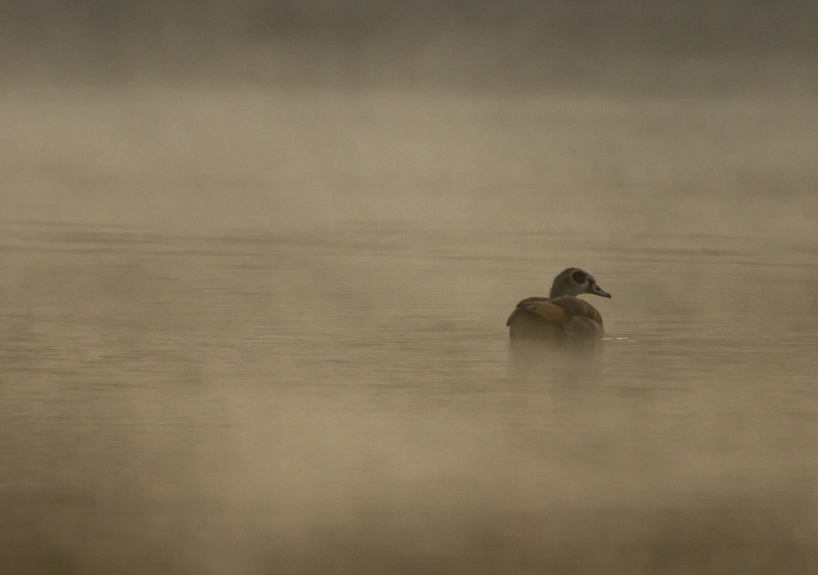 Canon EOS 90D sample photo. Dawn, fog, lake photography